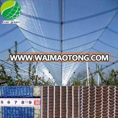 Factory Directly Supply 100% HDPE Anti Hail Mesh Nets